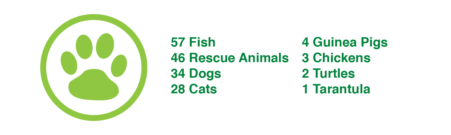 impact-report-2016-Pets.jpg